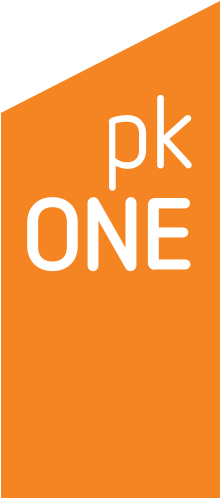 pkONE Logo